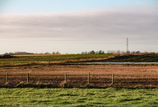 Beautiful shot of a field with white clouds in a clear sky