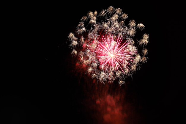 夜空に花火が舞い華やかな雰囲気が広がる美しいショット