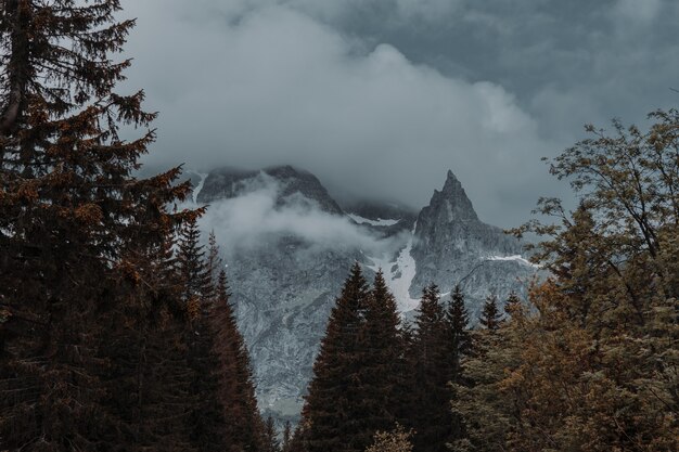 Beautiful shot of foggy rocky mountains