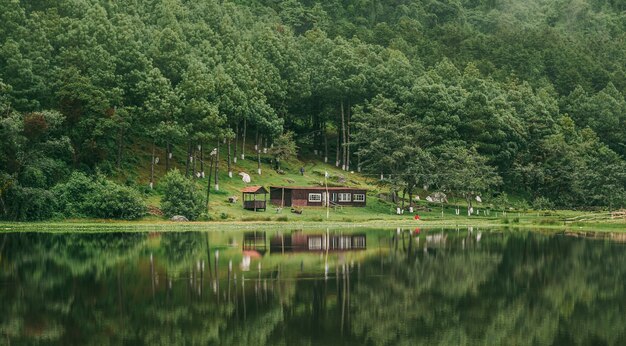 Beautiful shot of forest and cabin reflections on the pond