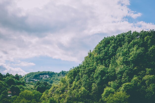 Beautiful shot of forested hills under a cloudy sky