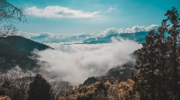 青空の下で雲の上の森林に覆われた山の美しいショット