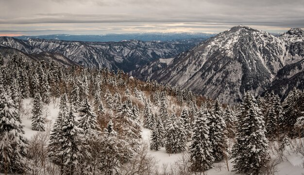 Beautiful shot of forested mountains covered in snow in the winter