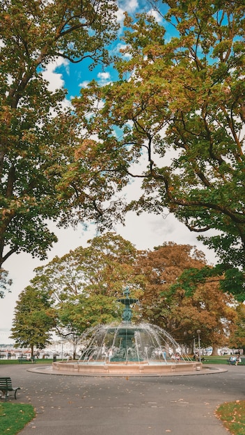 Beautiful shot of a fountain  in the middle of the street  surrounded by trees in Switzerland