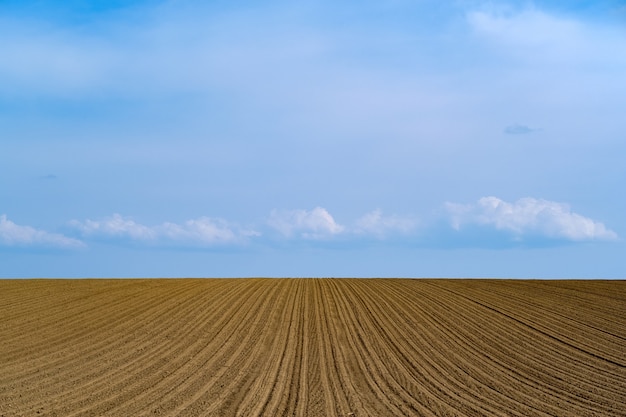 Free photo beautiful shot of a freshly plowed farm field on a blue sky