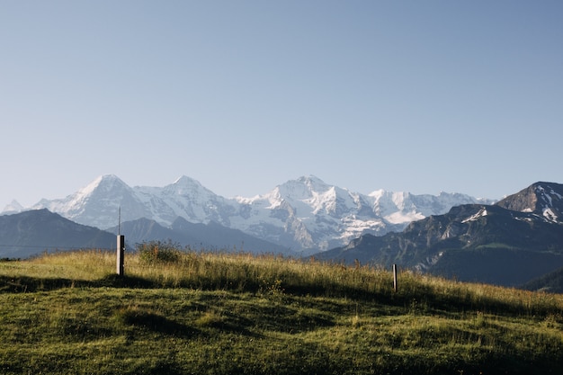 Beautiful shot of a grass field surrounded with white mountains under a clear sky