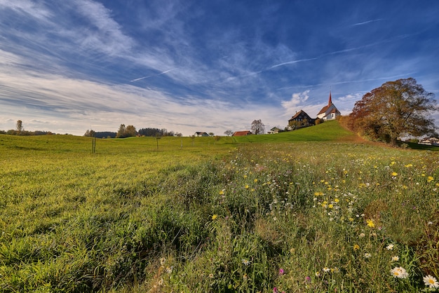 Красивая съемка травянистого поля с зданиями на расстоянии под голубым небом в дневное время