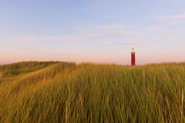 Красивая съемка травянистого поля с красным маяком на расстоянии и голубым небом