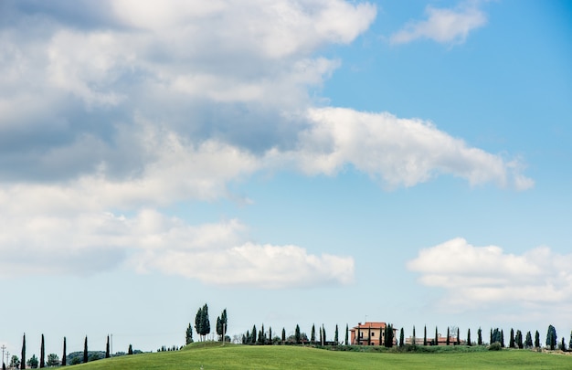 Beautiful shot of a grassy field with trees and a house in the distance under a blue sky