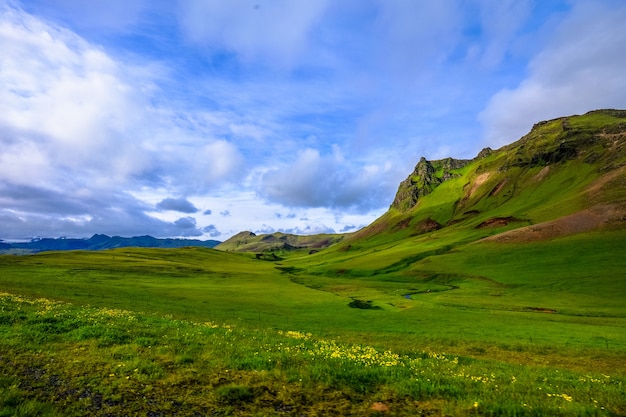 Beautiful shot of a grassy field with yellow flowers near mountains under a cloudy sky