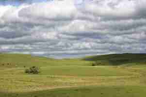 Foto gratuita bello colpo di un campo verde sotto il cielo nuvoloso bianco