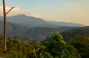 Free photo beautiful shot of green plants with mountains