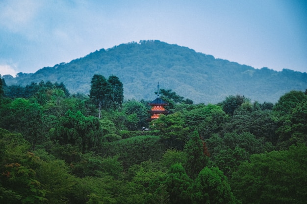 遠くに中国の建物と森林に覆われた山と緑の背の高い木の美しいショット