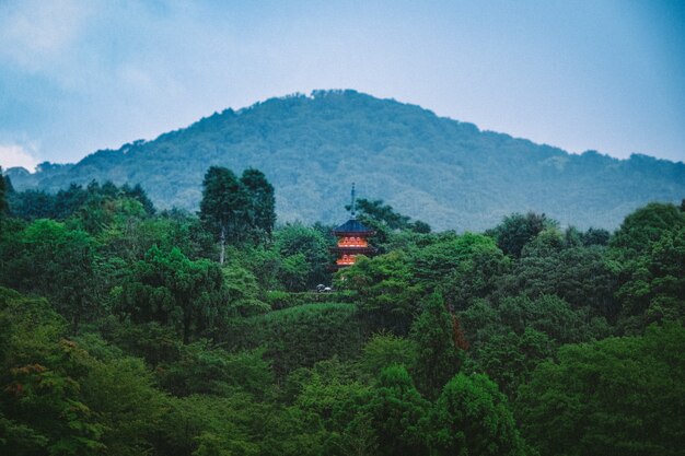 Beautiful shot of green tall trees with Chinese building in the distance and a forested mountain