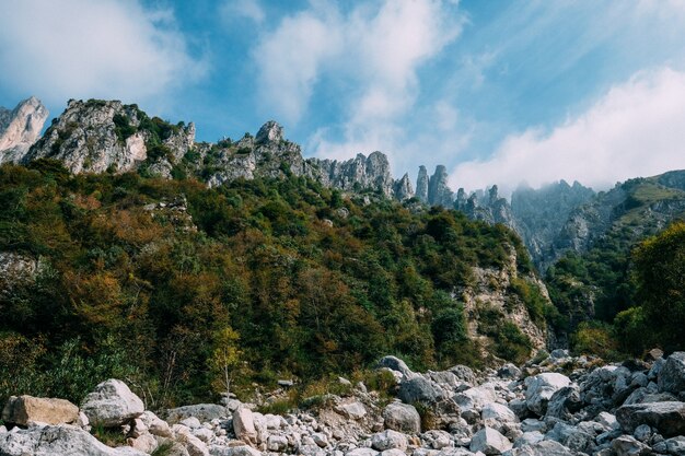 青空に雲と岩の崖の近くの丘の上の緑の木々の美しいショット