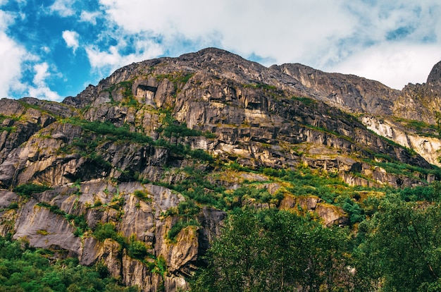 노르웨이에서 잔디로 덮여 높은 암석의 아름다운 샷