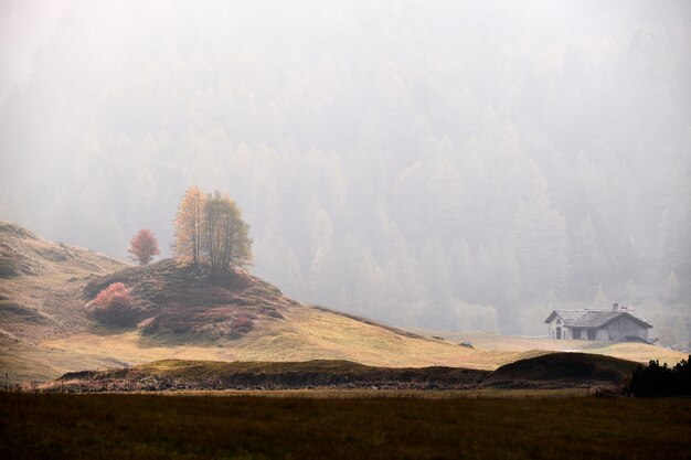 霧の中で森林に覆われた山と乾いた草原の家の美しいショット
