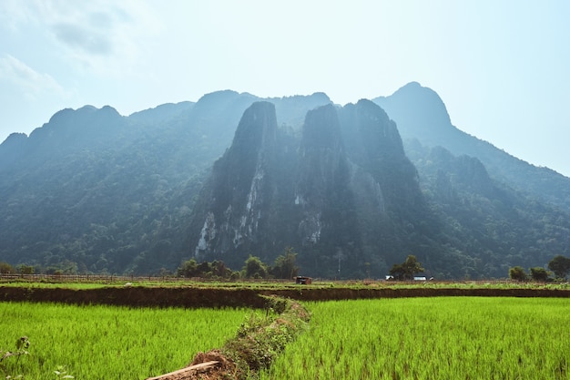 Foto gratuita bella ripresa delle montagne carsiche con risaie in primo piano a vang vieng, laos