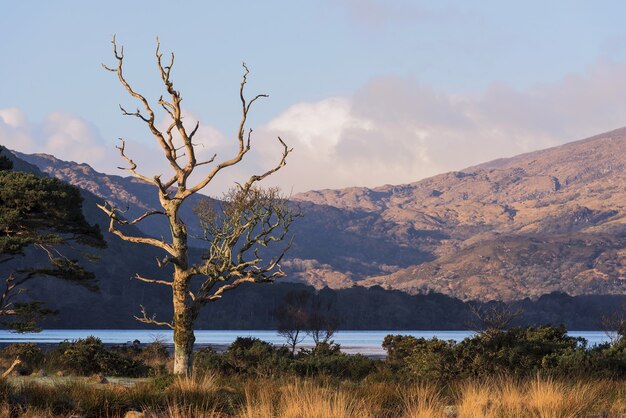 Beautiful shot of Killarney National Park with the Muckross Lake in Killarney, County Kerry, Ireland