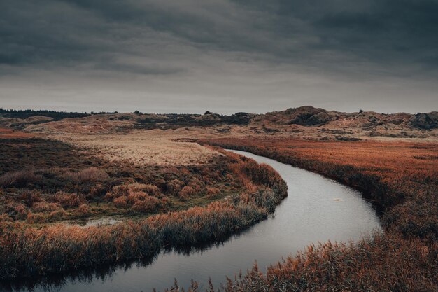 Beautiful shot of a lake in a forest under the cloudy skies