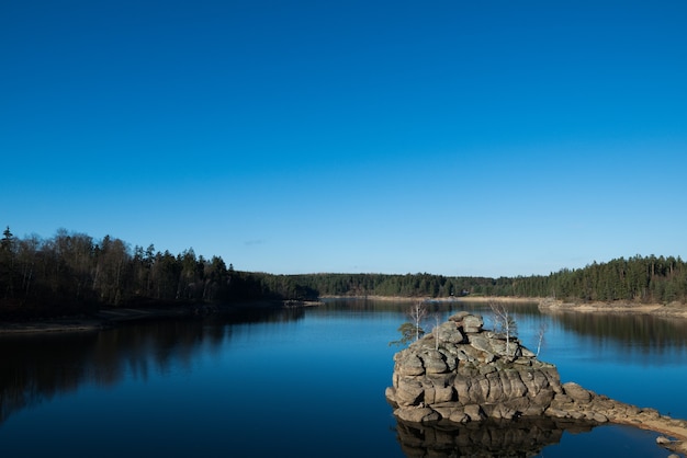 Красивый снимок озера в лесу, отражающего безоблачное небо