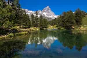 Foto gratuita una bella ripresa di un lago che riflette gli alberi sulla riva con una montagna innevata