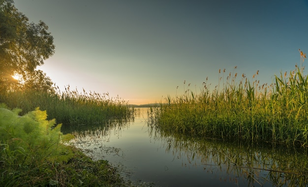 在日落时被树木和灌木丛包围的湖泊的免费照片美丽的镜头