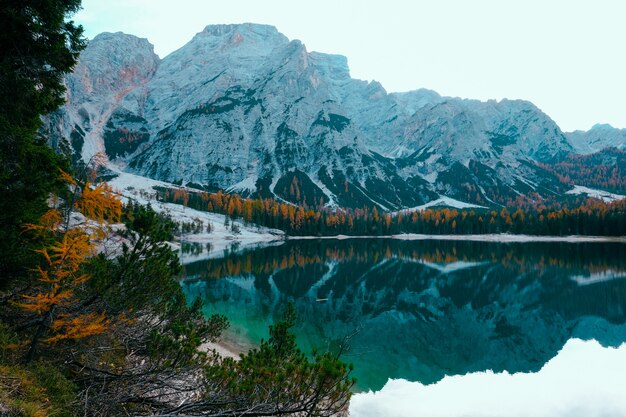 Beautiful shot of a lake surrounded by trees near snowy mountain