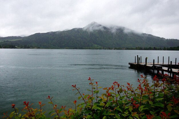 曇った山と花の茂みからの橋と湖の美しいショット