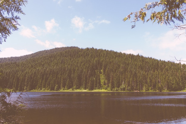 Beautiful shot of a lake with and forrest mountain