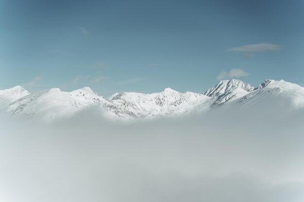 冬の雪に覆われた日中の風景の美しいショット