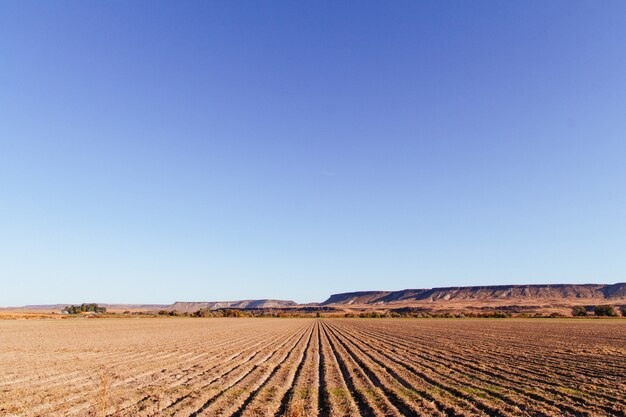 Beautiful shot of a large agricultural field with amazing clear blue sky
