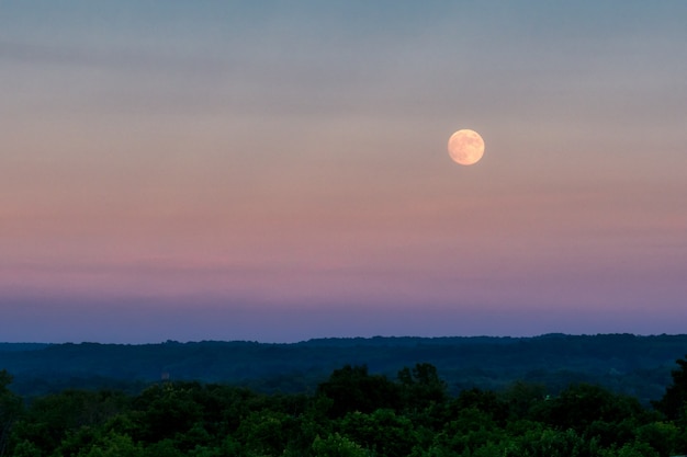 Красивый снимок большой серой луны в вечернем небе над густым зеленым лесом