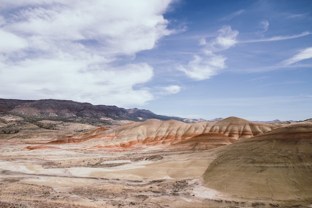 Free photo beautiful shot of a large textured desert with sand piles