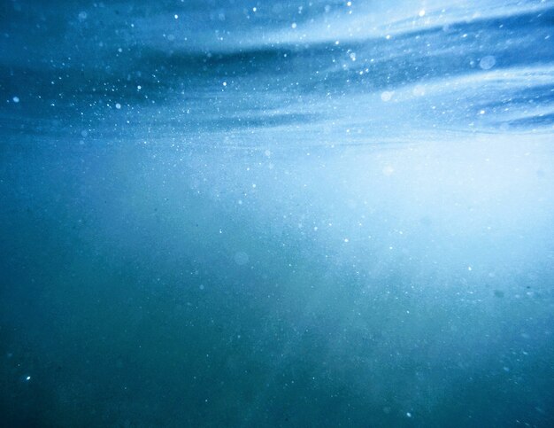 Красивый снимок сделан под водой с солнечным светом сквозь поверхность