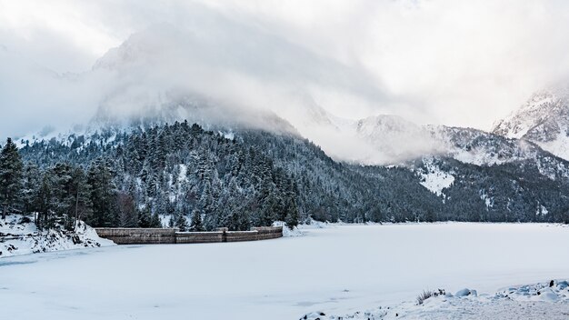 Красивый снимок туманного дня в зимнем лесу у гор