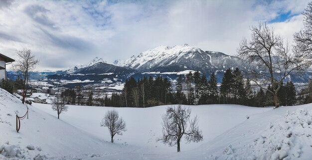 Beautiful shot of a mountain range surrounded by pine trees on a snowy day