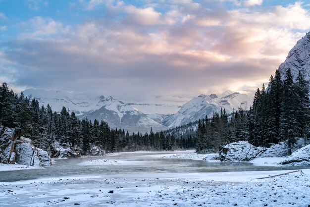 Beautiful shot of a mountainous area covered with snow and surrounded by forests