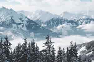 Free photo beautiful shot of mountains and trees covered in snow and fog