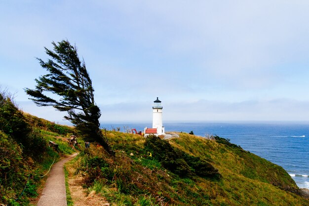 Beautiful shot of a narrow pathway towards the white lighthouse near the cliff and the sea