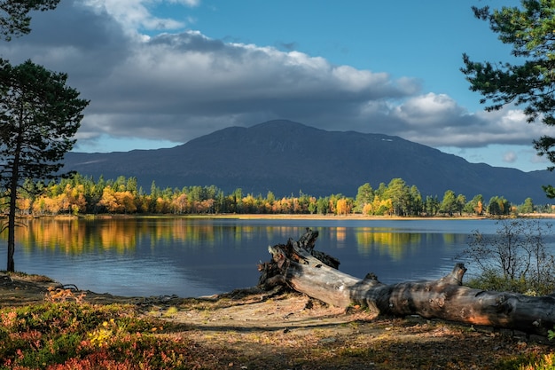 Beautiful shot of natural scenery in Autumn