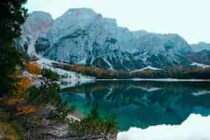 Бесплатное фото Красивый снимок озера в окружении деревьев возле снежной горы