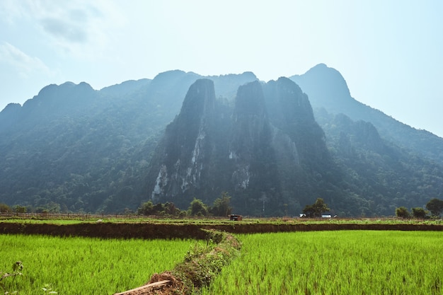 Бесплатное фото Красивый снимок карстовых гор с рисовыми полями на переднем плане в вангвианге, лаос
