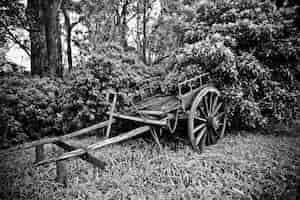 Free photo beautiful shot of an old broken horse cart near trees in black and white