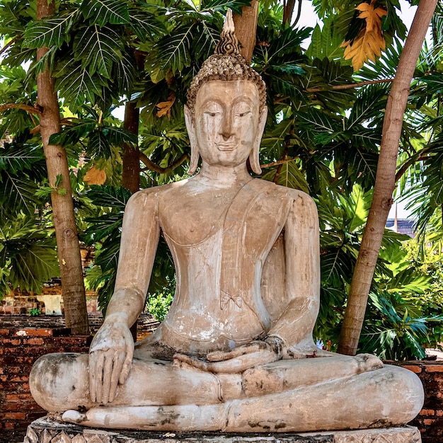 Beautiful shot of an old Buddha statue