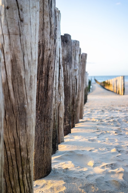 Beautiful shot of pier sticks in the shore of Domburg in Zeeland province of the Netherlands