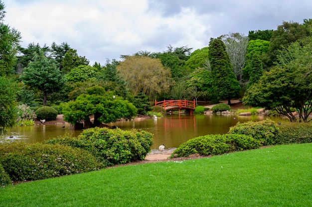 Foto gratuita bella ripresa di un parco pubblico a toowoomba, queensland, australia