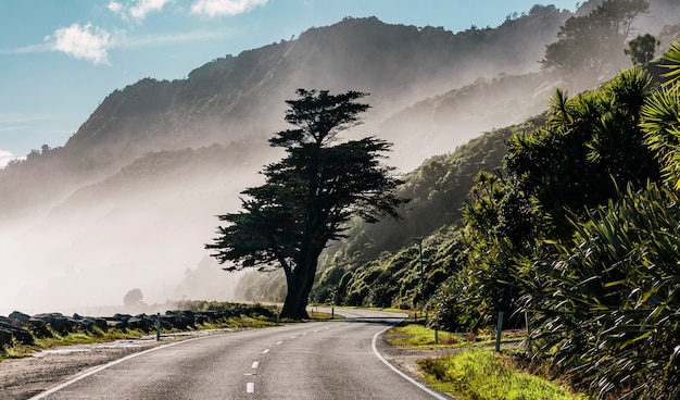 Красивый снимок дороги в туманной горе в дневное время