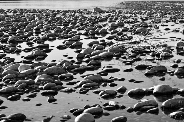 Beautiful shot of rocks and a broken tree in the water in black and white