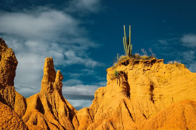 A beautiful shot of rocky cliffs with cacti plants on top in a desert